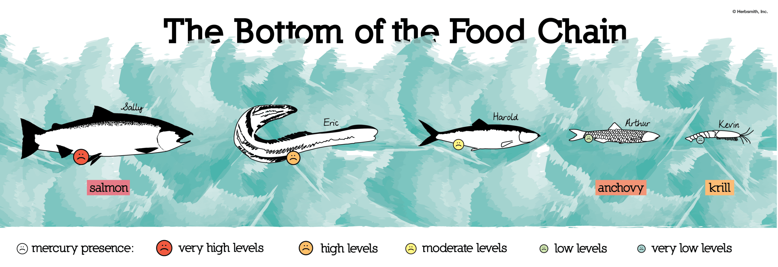 Food chain diagram showing mercury concentration in fish. Salmon is highest, Anchovy and krill are lowest