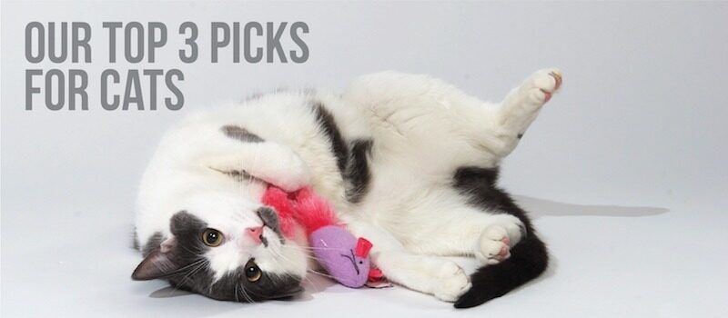 top 3 Herbsmith products for cats
