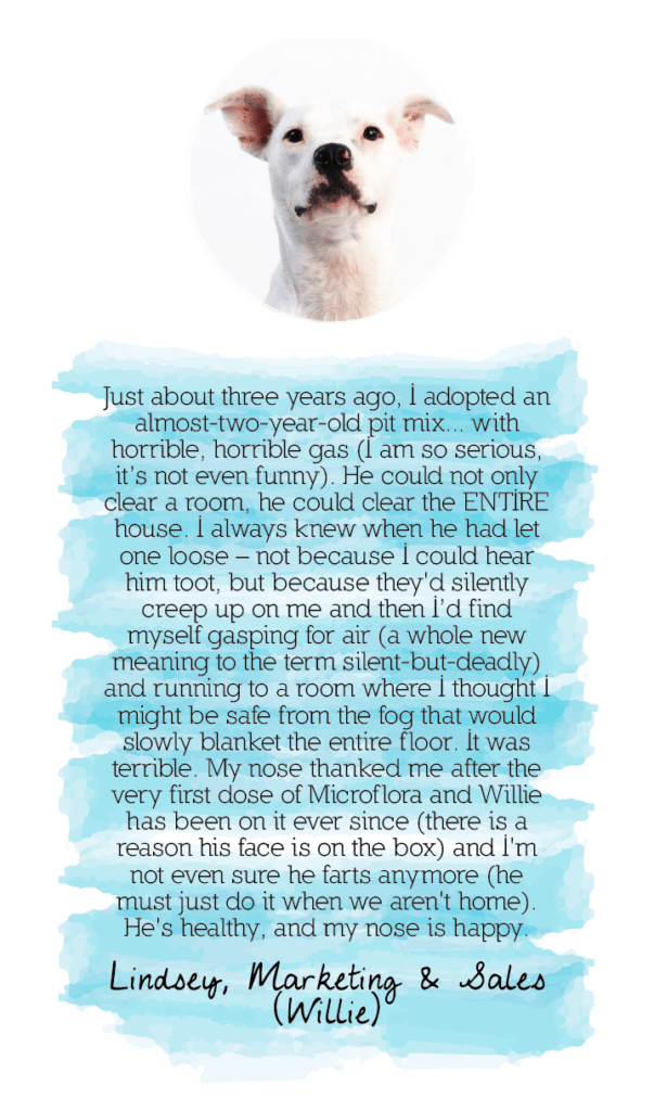 Microflora testimonial from Lindsey: digestive health