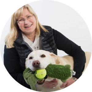 Picture of Dr. Chris Besent