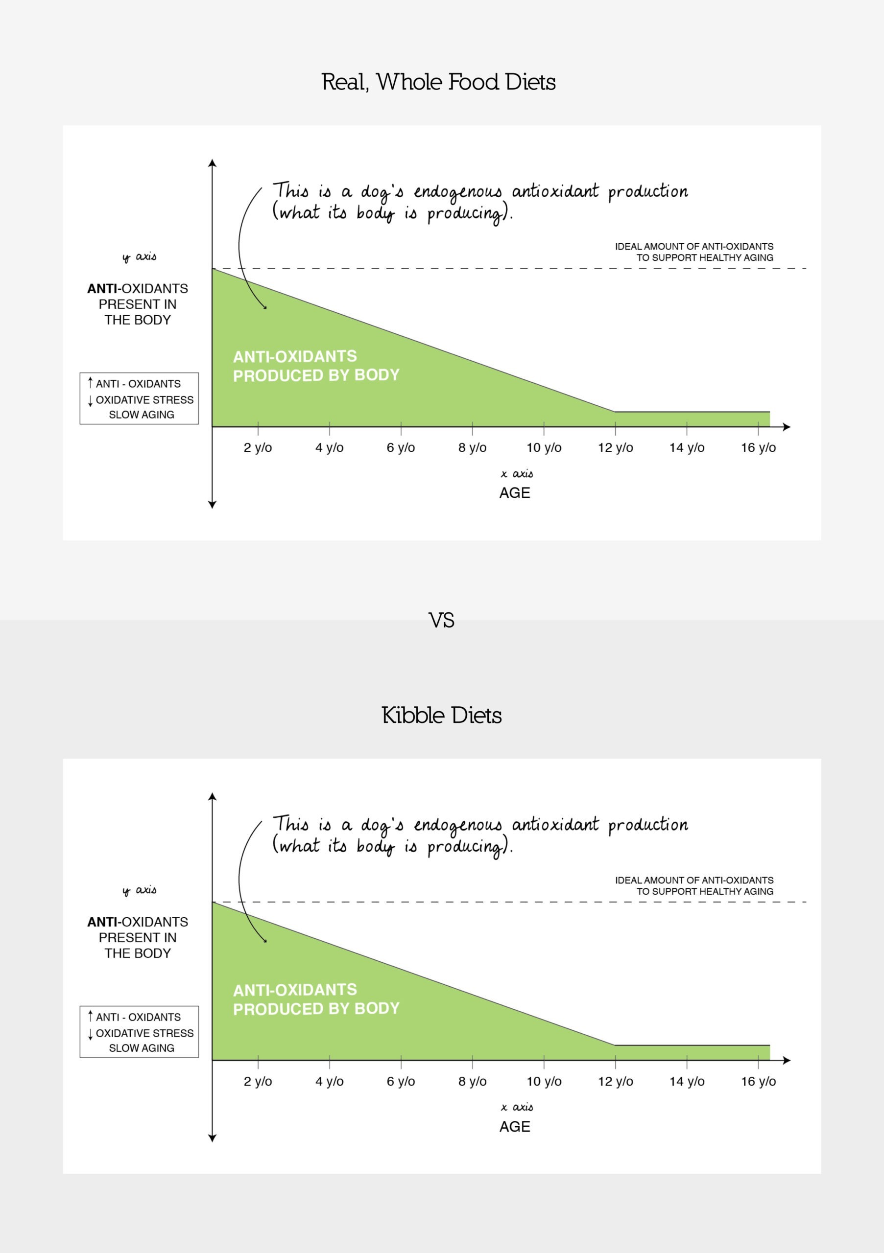 Antioxidant Comparison_1_1