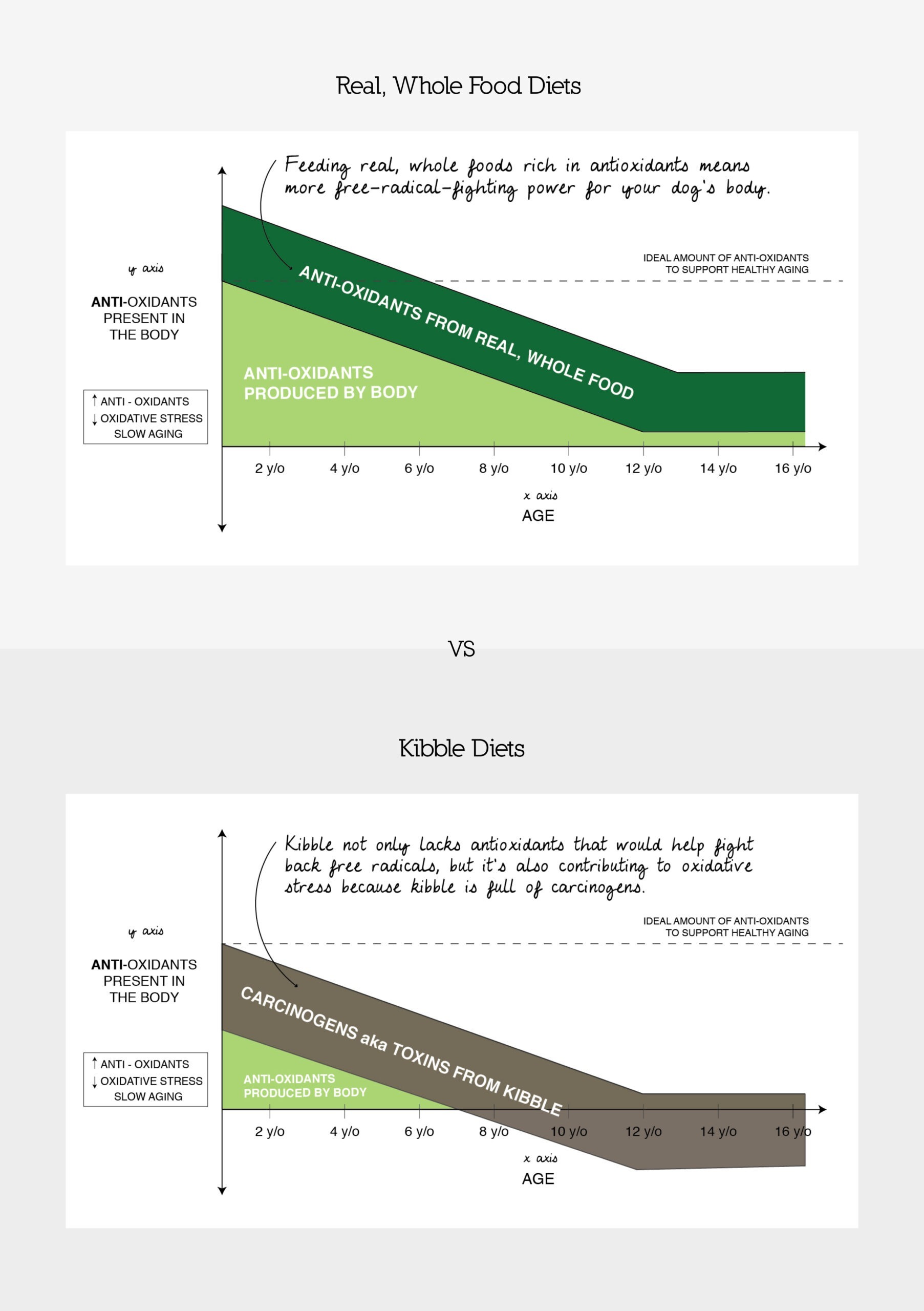 Antioxidant Comparison_2_1