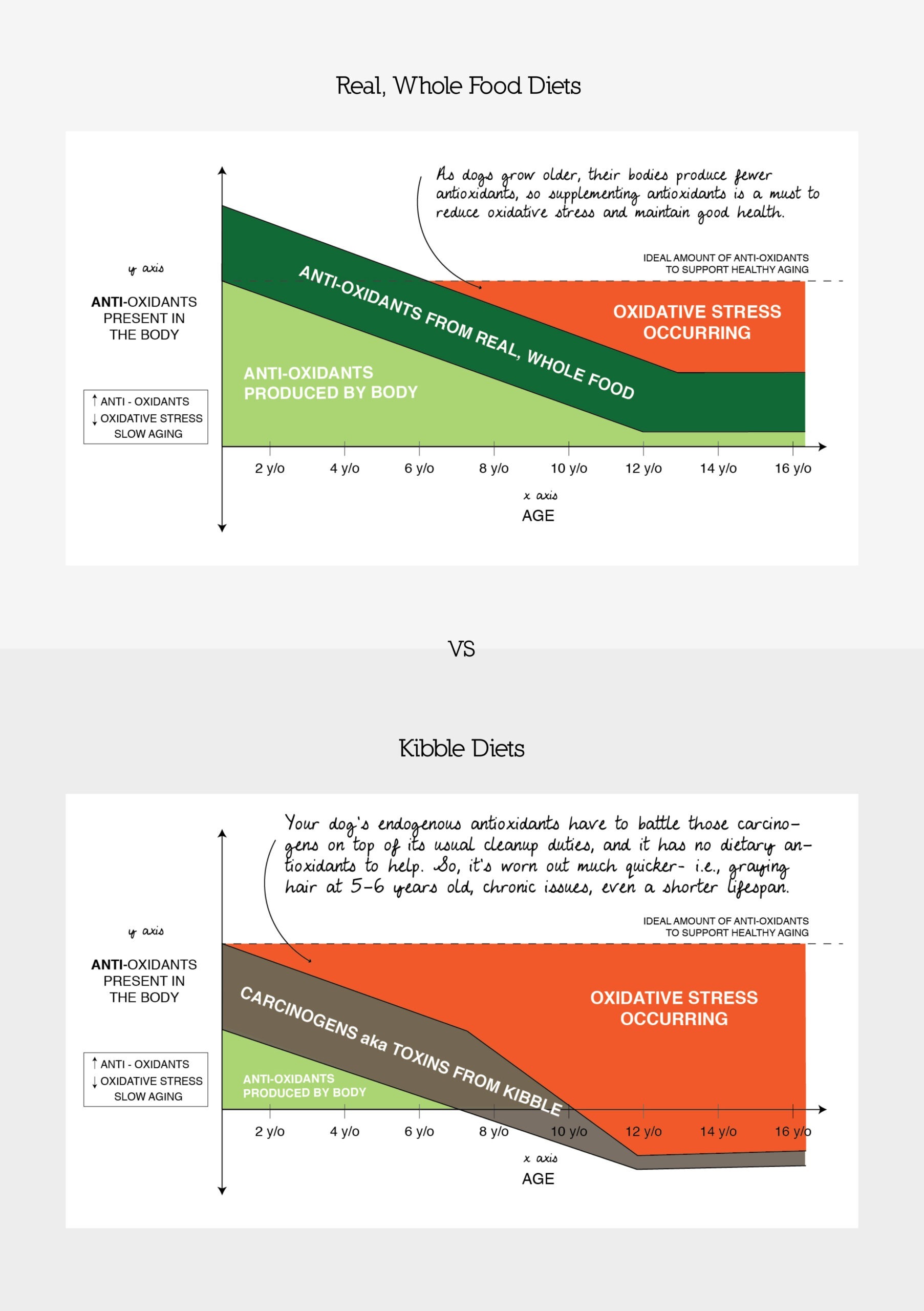 Antioxidant Comparison_3_1