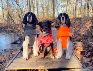 Picture of Kristina & The Boys