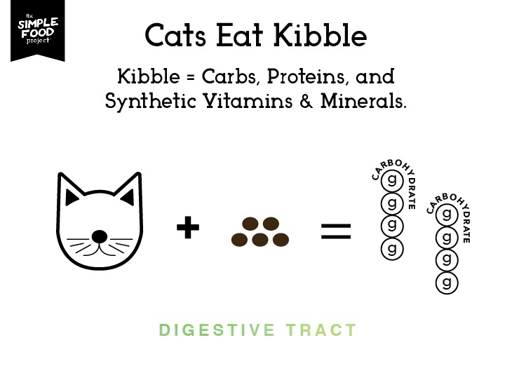 Carbs_Diagram_SH2_revised2-01