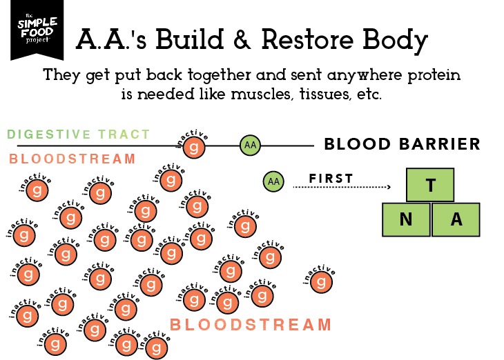 Carbs_Diagram_SH2_revised2-03