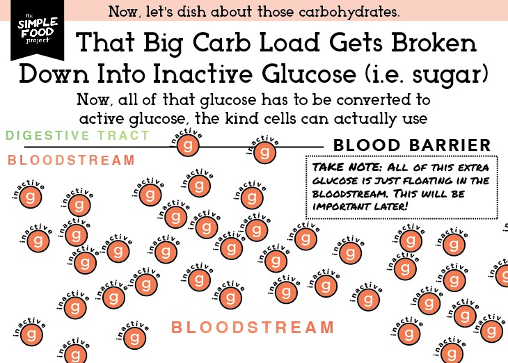 Carbs_Diagram_SH2_revised2-04