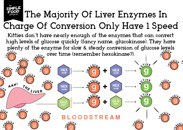 Carbs_Diagram_SH2_revised2-05