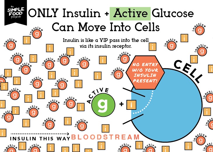 Carbs_Diagram_SH2_revised2-07