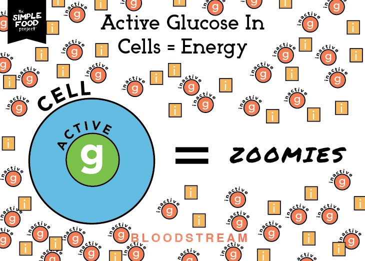 Carbs_Diagram_SH2_revised2-08