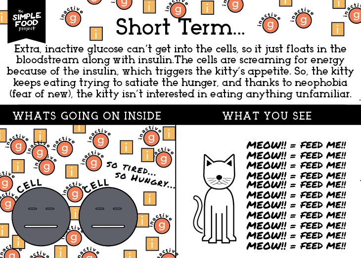 Carbs_Diagram_SH2_revised2-10