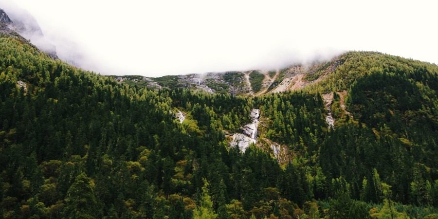 alvan-nee-ng6TYkQJ4Qo-unsplash (1)