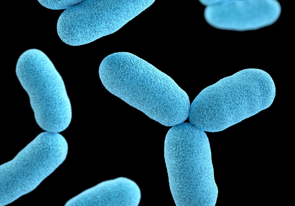 cdc-PhaTJPdtaCU-unsplash