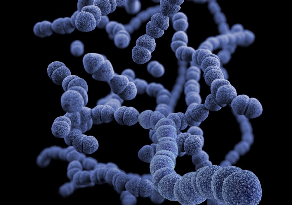 cdc-QEU-QgIOJKA-unsplash