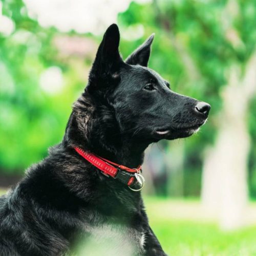 eugene-chystiakov-kdFDewk4uHU-unsplash-2048x1257 (1)