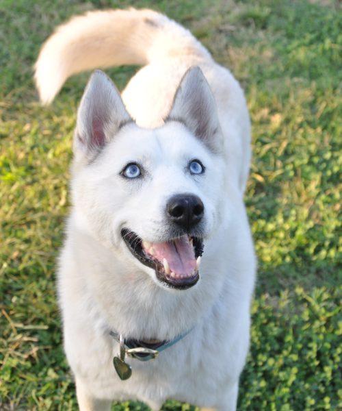 kaan-elgun-3JF5ihS9RQs-unsplash