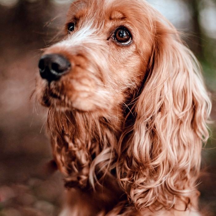 kajetan-sumila-vdAYvGOzXEY-unsplash (1)
