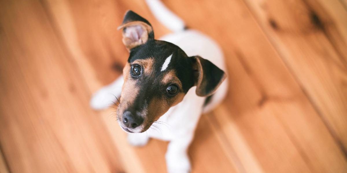 margo-brodowicz-TJgn1_dcE1g-unsplash (1)