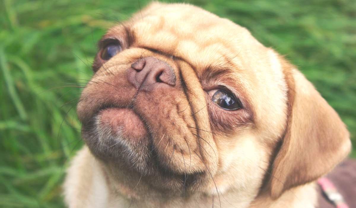 rebecca-campbell-05rv6vhkCRs-unsplash (2)